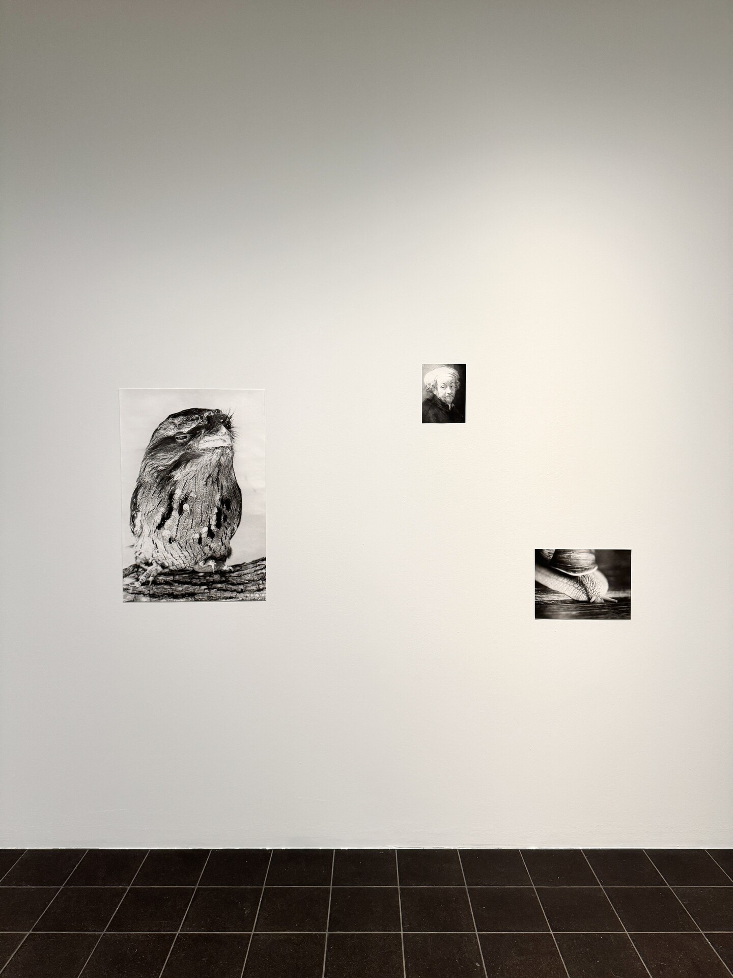 Ausstellungsansicht © Jochen Lempert/VG Bild-Kunst, Bonn 2023. Courtesy ProjecteSD, Barcelona and BQ, Berlin Ausstellungsansicht © Jochen Lempert/VG Bild-Kunst, Bonn 2023. Courtesy ProjecteSD, Barcelona and BQ, Berlin