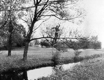 Bas Jan Ader (1942–1975), Broken fall (organic), Amsterdamse Bos, Holland, 1971, © The Estate of Bas Jan Ader / Mary Sue Ader Andersen / VG Bild-Kunst, Bonn 2024 Courtesy of Meliksetian | Briggs, Dallas Bas Jan Ader (1942–1975), Broken fall (organic), Amsterdamse Bos, Holland, 1971, © The Estate of Bas Jan Ader / Mary Sue Ader Andersen / VG Bild-Kunst, Bonn 2024 Courtesy of Meliksetian | Briggs, Dallas