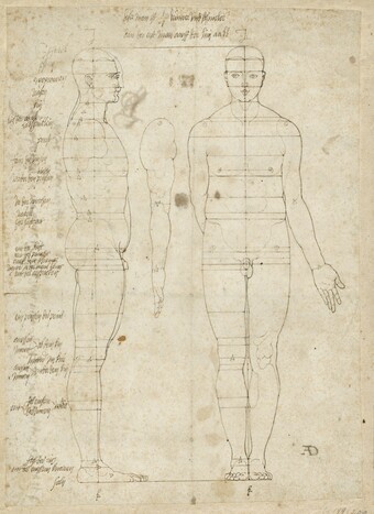 Albrecht Dürer (1471–1528) Zwei Proportionsstudien eines  männlichen Akts, um 1513 Feder in Braun, 251 x 180 mm Hamburger Kunsthalle, Kupferstichkabinett © Hamburger Kunsthalle / bpk Foto: Christoph Irrgang