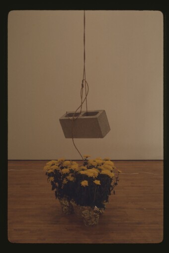 Bas Jan Ader (1942–1975) Light vulnerable objects threatened by eight cement bricks [Detail], 1970 Installation dokumentiert durch 14 35-mm-Dias mit Kugelschreiberbeschriftung sowie digitalisiertes 16- mm-Filmmaterial; Acht Gegenstände, Seil und Zementschlackenblöcke © The Estate of Bas Jan Ader / Mary Sue Ader Andersen / VG Bild-Kunst, Bonn 2025. Courtesy of Meliksetian | Briggs, Dallas
