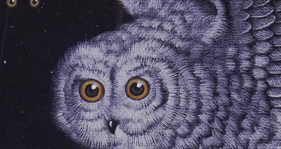 Valentine Hugo, Die Wahrheit würde in Gestalt einer Schneeeule vom Himmel fallen, 1932 Valentine Hugo, Die Wahrheit würde in Gestalt einer Schneeeule vom Himmel fallen, 1932